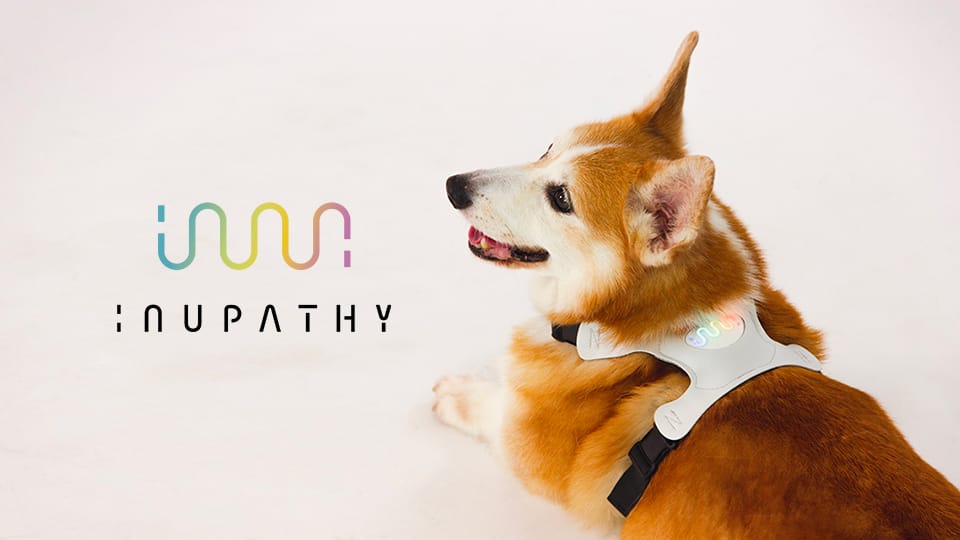 リアルタイムに犬の気持ちを読み取るデバイス