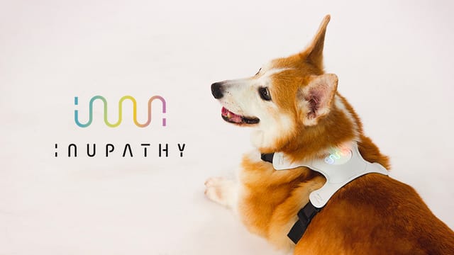 リアルタイムに犬の気持ちを読み取るデバイス