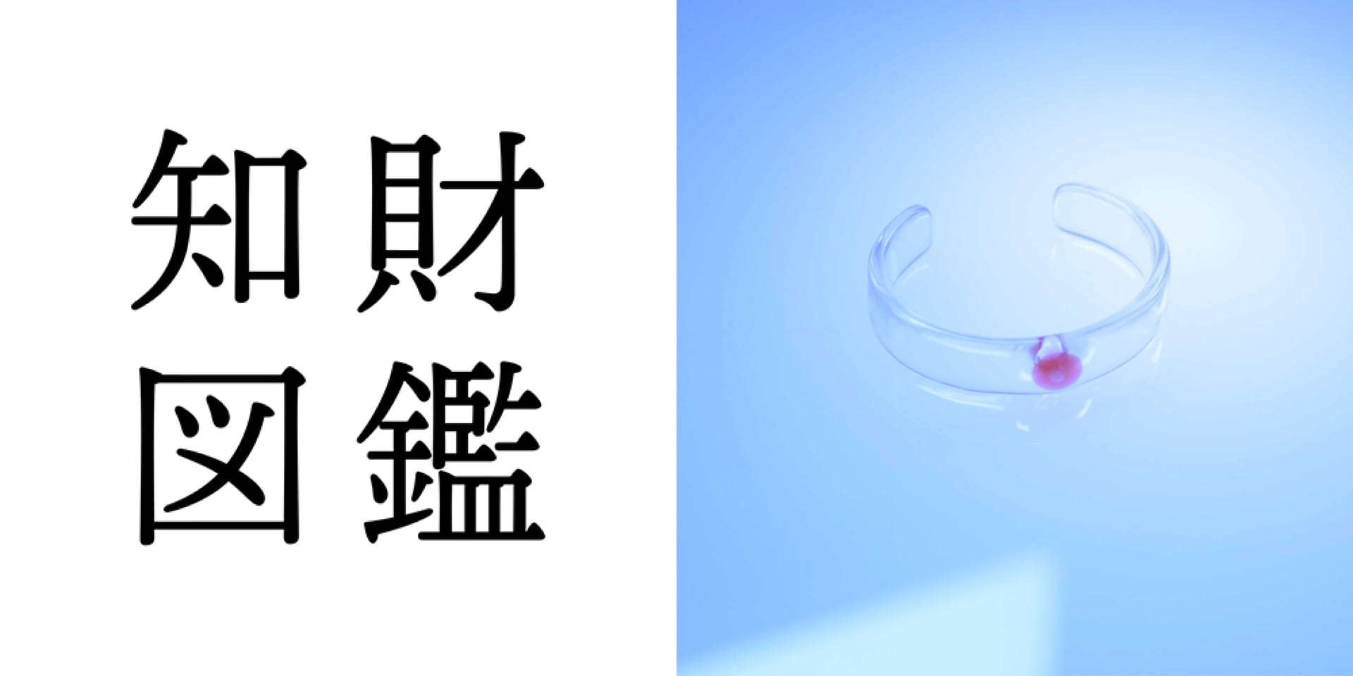 知財図鑑 generated by AI #040─ PxCell Wear：大切な人の一部を身に着ける、細胞入りのアクセサリー