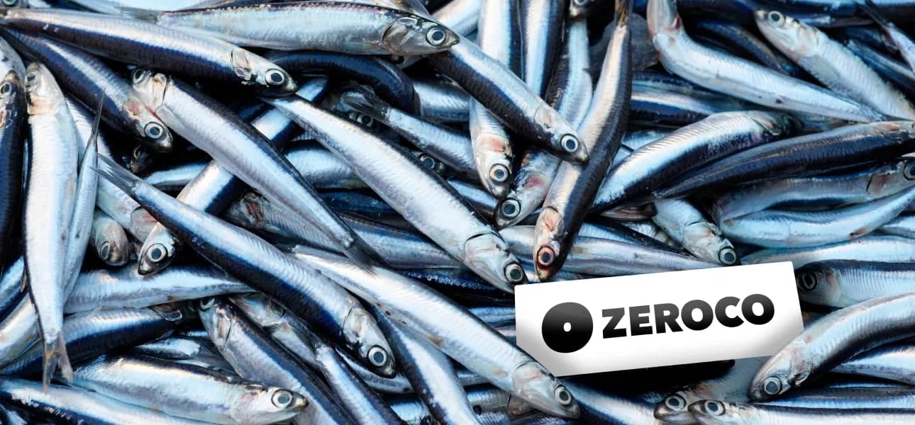 ZEROCO(ゼロコ)