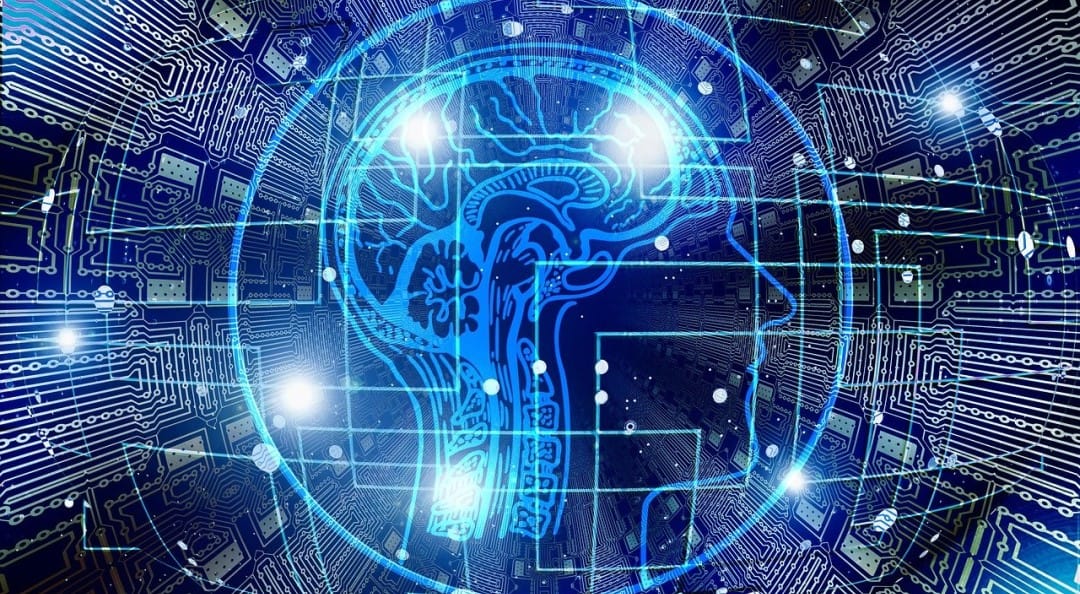 文科省、デジタル上に脳の仕組み再現「脳神経科学統合プログラム」公開―脳神経疾患の治療・創薬、シーズ開発へ