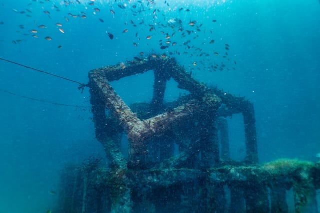 水域を豊かにしながら社会基盤を開発