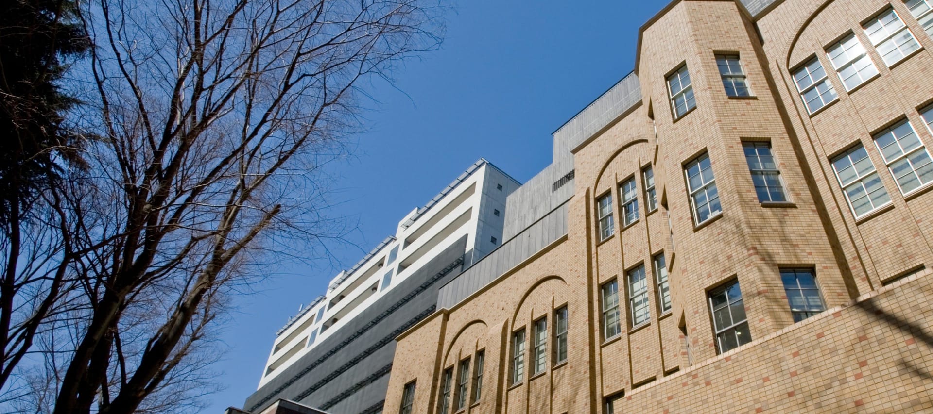 東京大学が「メタバース工学部」の設立へ─DX人材の育成とダイバーシティ推進を加速