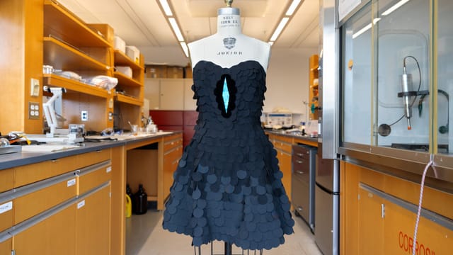 コーネル大学、極楽鳥の羽をヒントに“最も黒い物質”「ウルトラブラック」の製造技術を開発