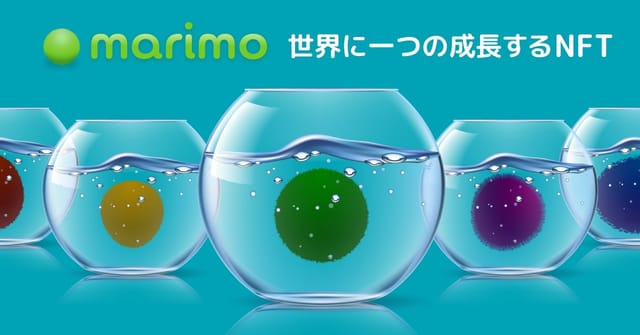 世話をすると成長するNFT「marimo」、10000点がパブリックセール開始から7分で完売