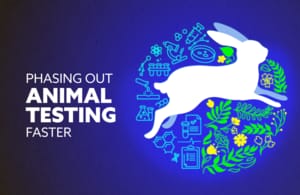 イギリス政府、動物実験を段階的に廃止する計画を発表―2030年までに犬や霊長類での薬物試験削減を目指す