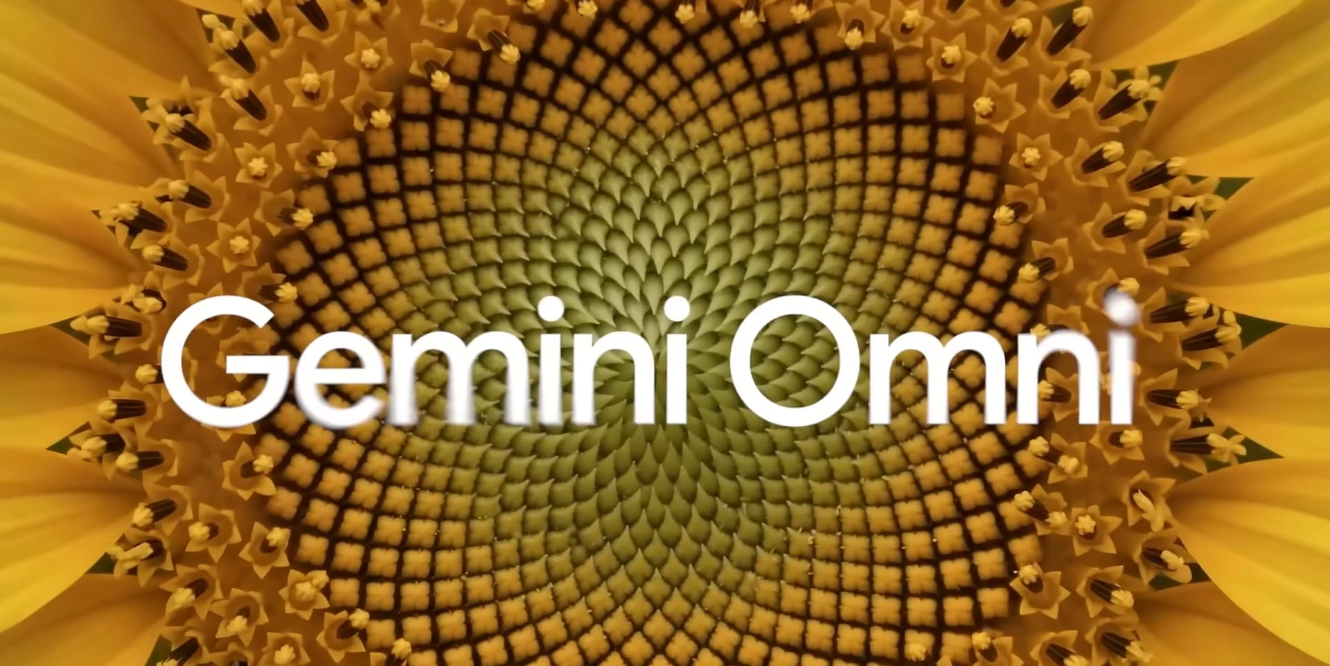 Gemini Omni