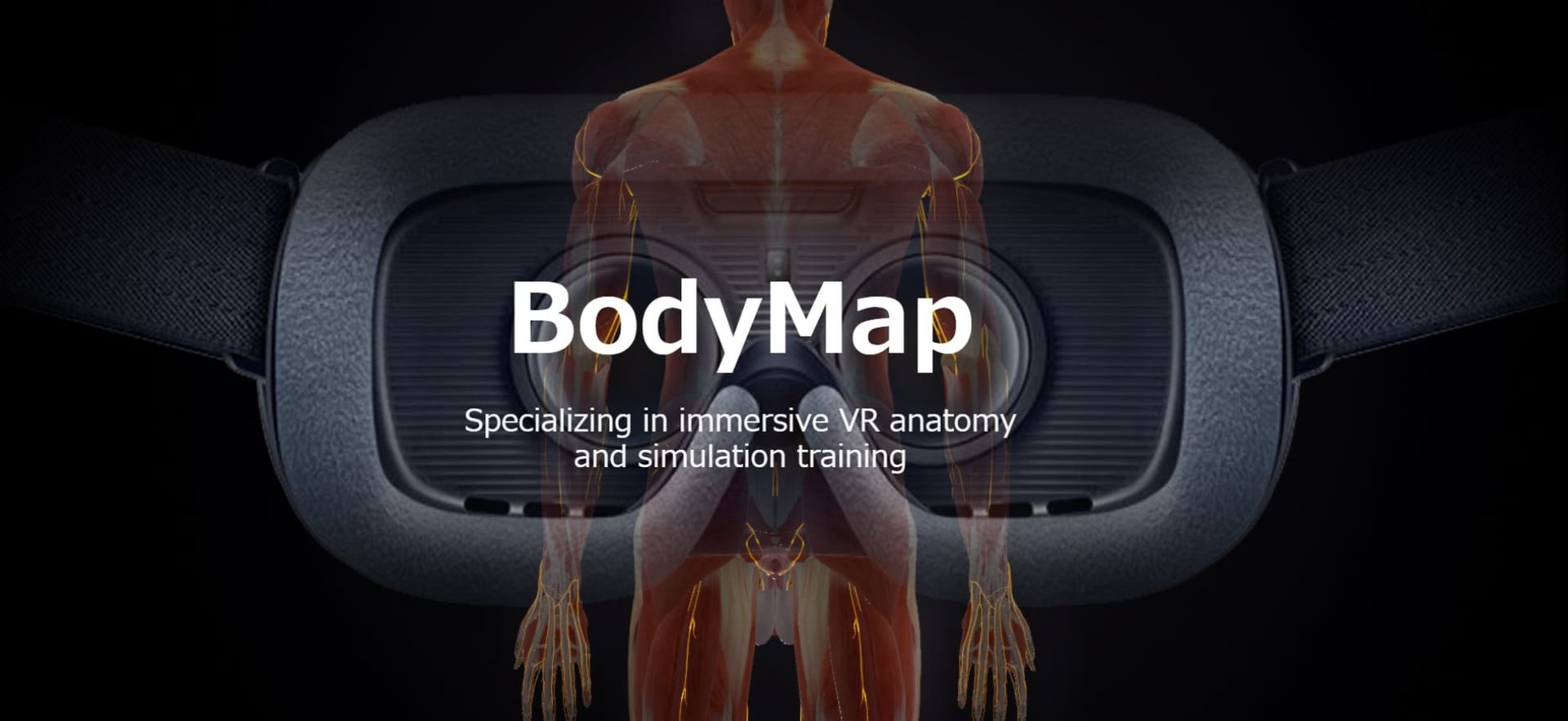 VR空間で自在に解剖可能なソフト「BODY MAP」、医療系教育実習へ無償提供─「触覚」で実技習熟を支援