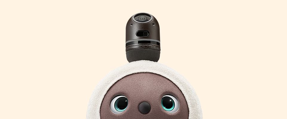 家族型ロボット「LOVOT（らぼっと）」を使ったプログラミング授業、9割が興味増―横浜本牧南小学校で実施