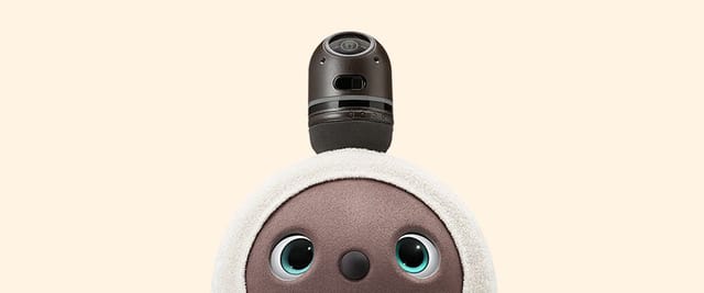 家族型ロボット「LOVOT（らぼっと）」を使ったプログラミング授業、9割が興味増―横浜本牧南小学校で実施