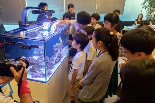 「生き物や自然を面白がる楽しさを伝えていく」教育・イベントスタッフ募集 