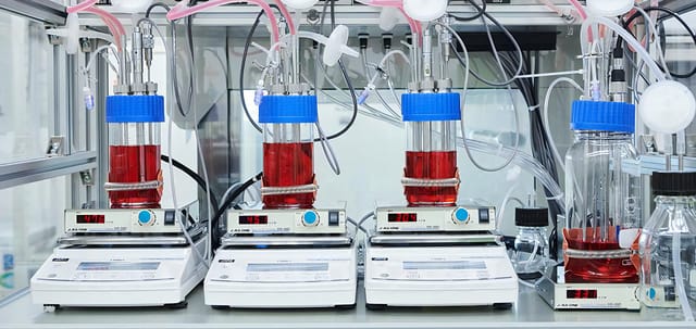 Future Food Fundが培養肉スタートアップのインテグリカルチャーに投資―累計7.8億、フードテックの活性化へ