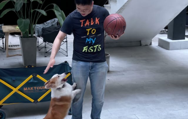 中国の4DV AI、「4D Gaussian splatting」技術を用いた動画を公開