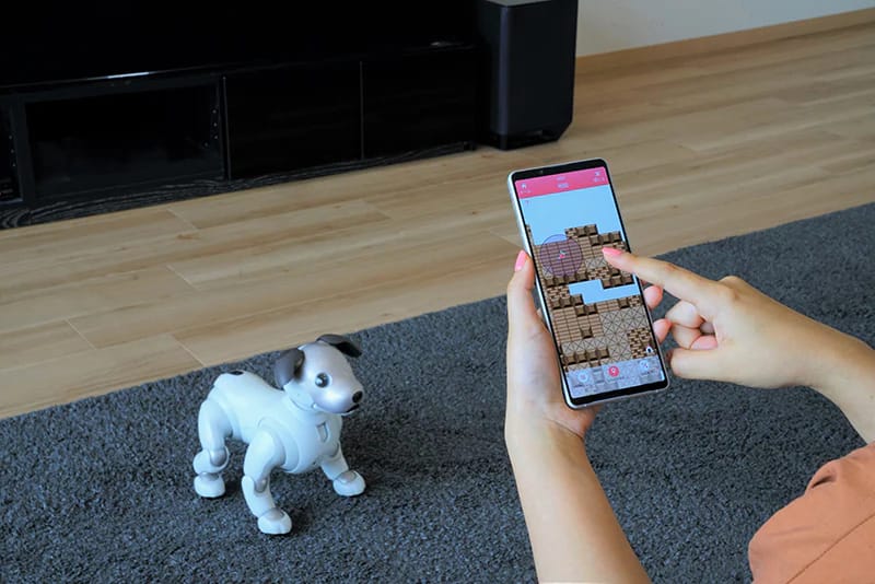 ソニー株式会社の「aibo(アイボ)」に新機能“なわばり”が搭載─苦手な唐辛子で進入禁止?