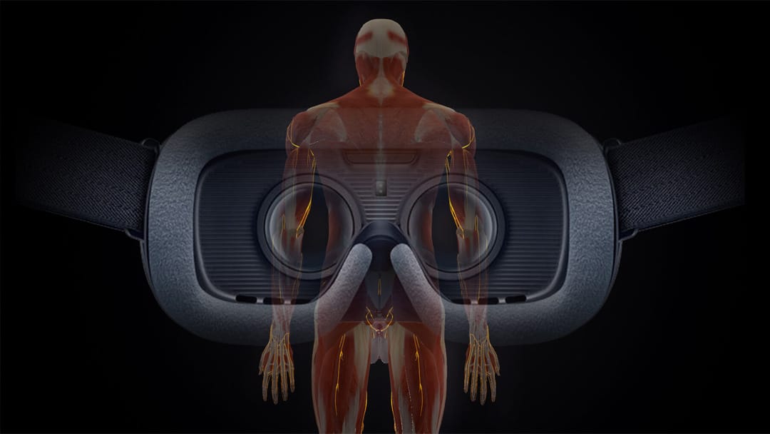 BODY MAP（ボディマップ）