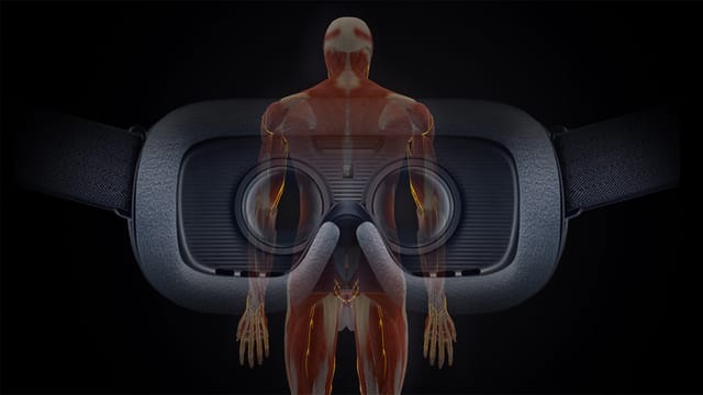 人体の解剖をVR空間で学べるソフトウェア