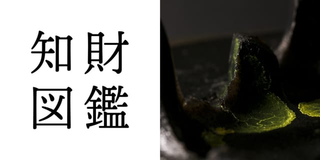 知財図鑑 generated by AI #029─ 粘菌アルゴリズム：社会性アメーバが避難経路を導く