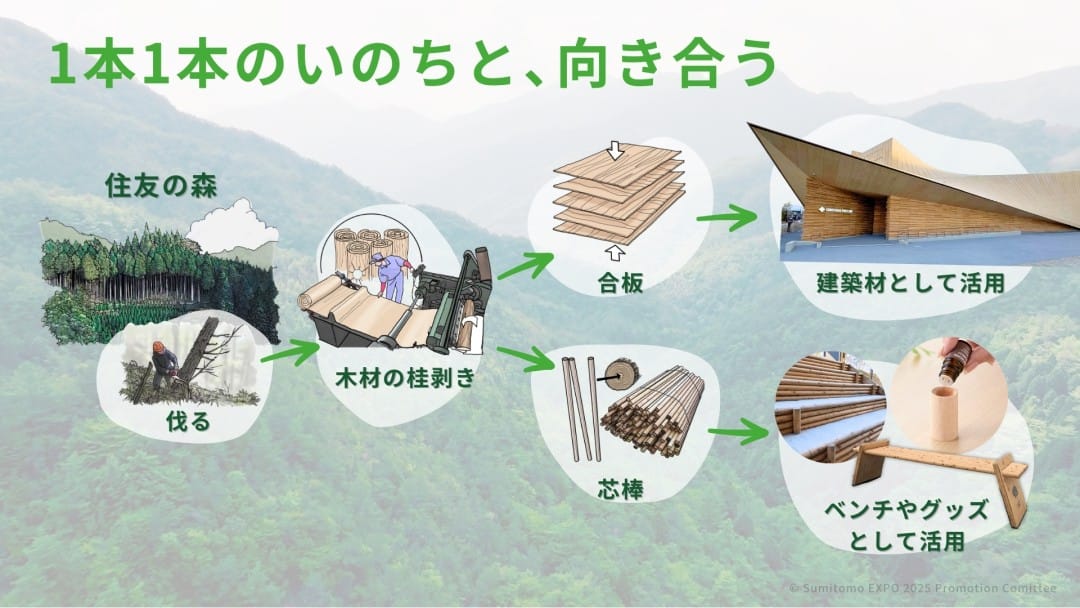 住友館:次世代に森を引き継ぎ、未来を育むパビリオン | 知財図鑑