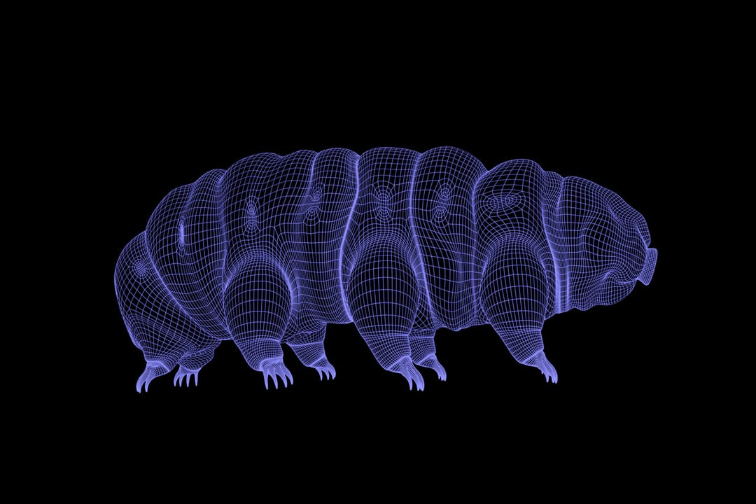 生物学的時間を遅延させる「クマムシ化」