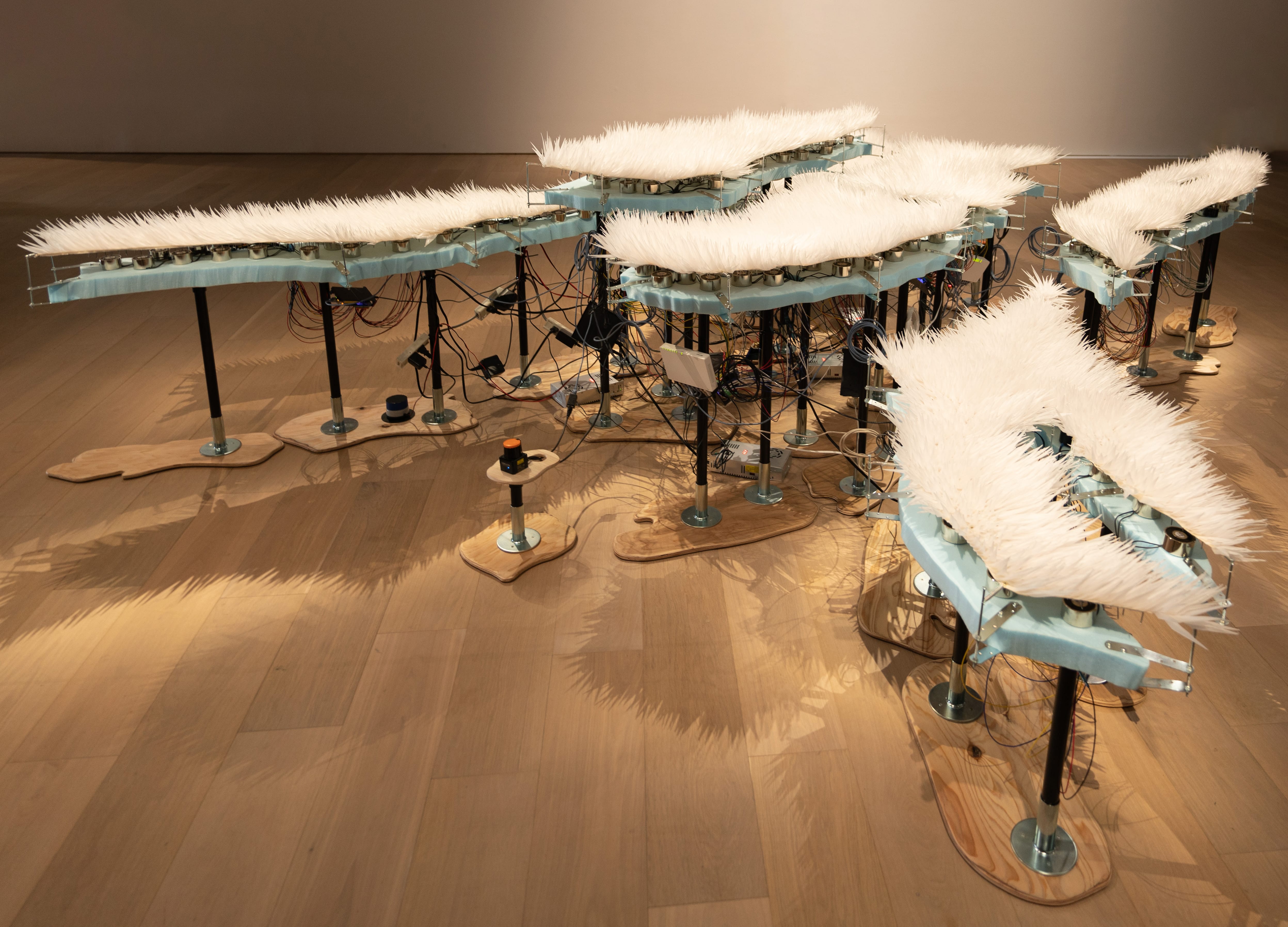 京セラ美術館にて「KYOTO STEAM 2022 国際アートコンペティション」が