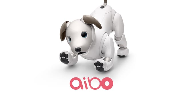 ソニーが「aiboの里親プロジェクト」を実施─引き取ったaiboを治療し医療施設や介護現場へ提供