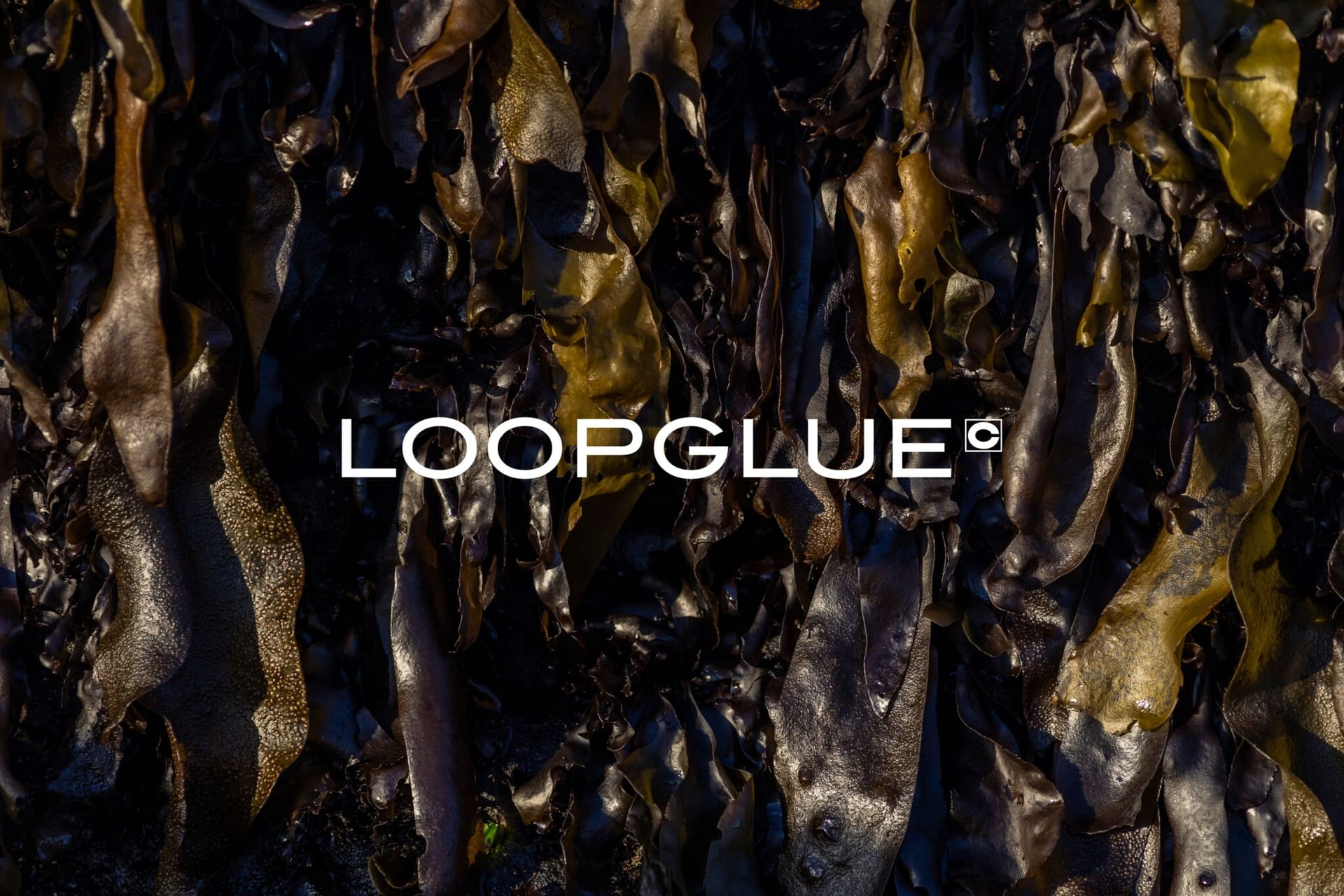 LOOPGLUE(ループグルー)