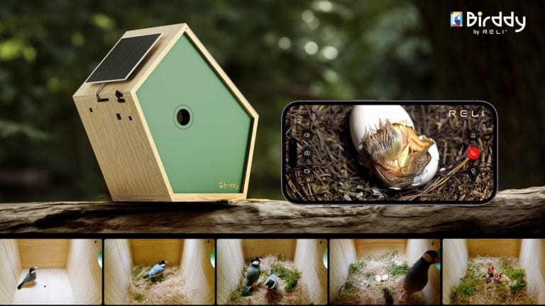 野鳥の生活をスマホで観察、スマートバードハウス「Birddy」、5千万円超の資金をクラウドファンディングで獲得