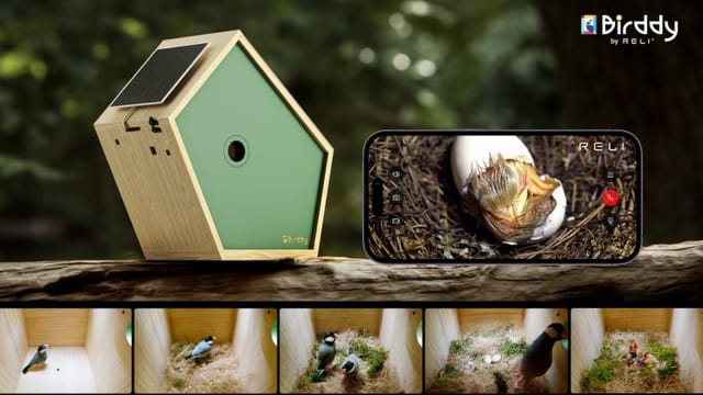 野鳥の生活をスマホで観察、スマートバードハウス「Birddy」、5千万円超の資金をクラウドファンディングで獲得