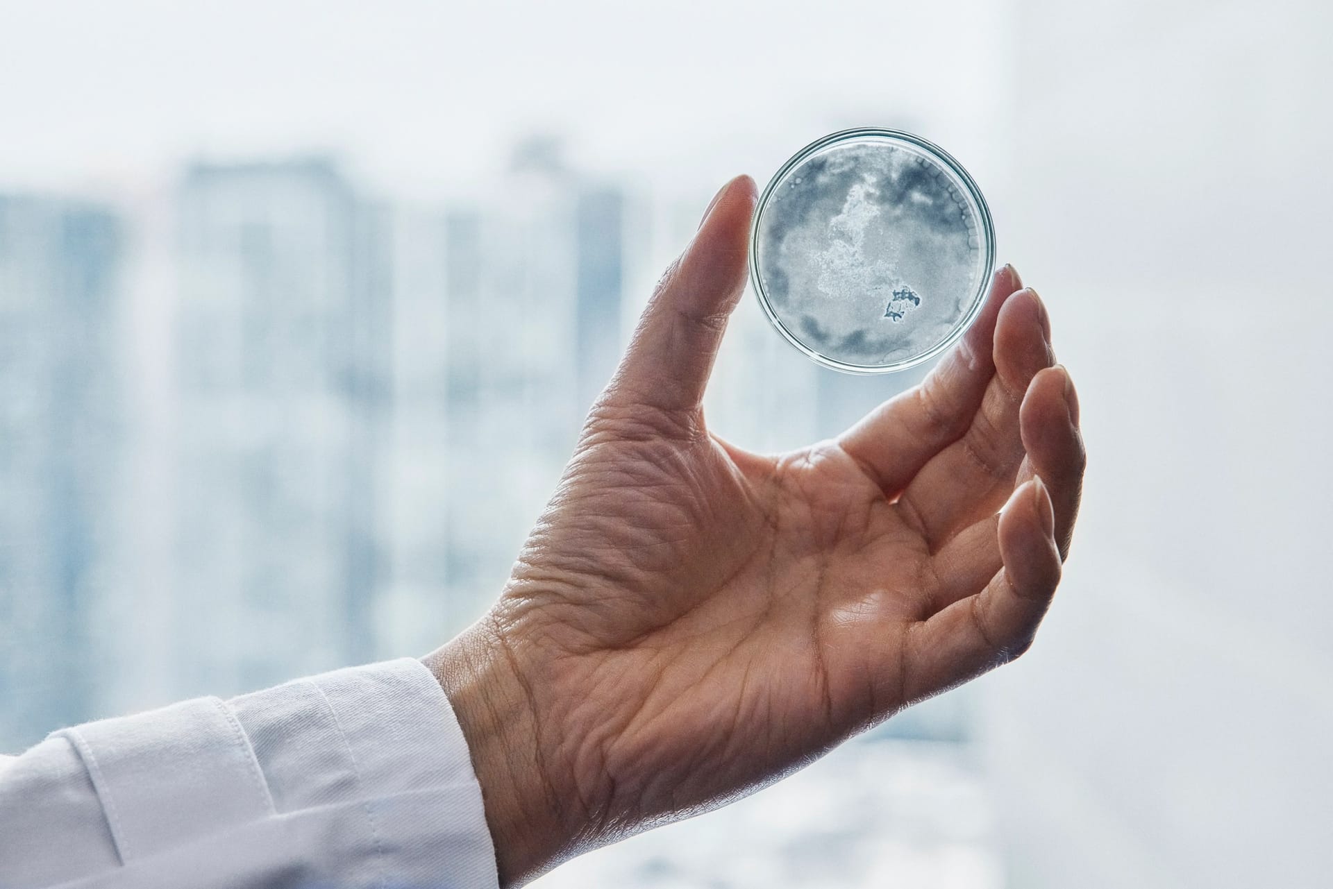 香港の研究所HKRITA、H&Mの支援で、“音波で廃水からマイクロプラスチックを分離”する技術を開発─化学溶剤不要