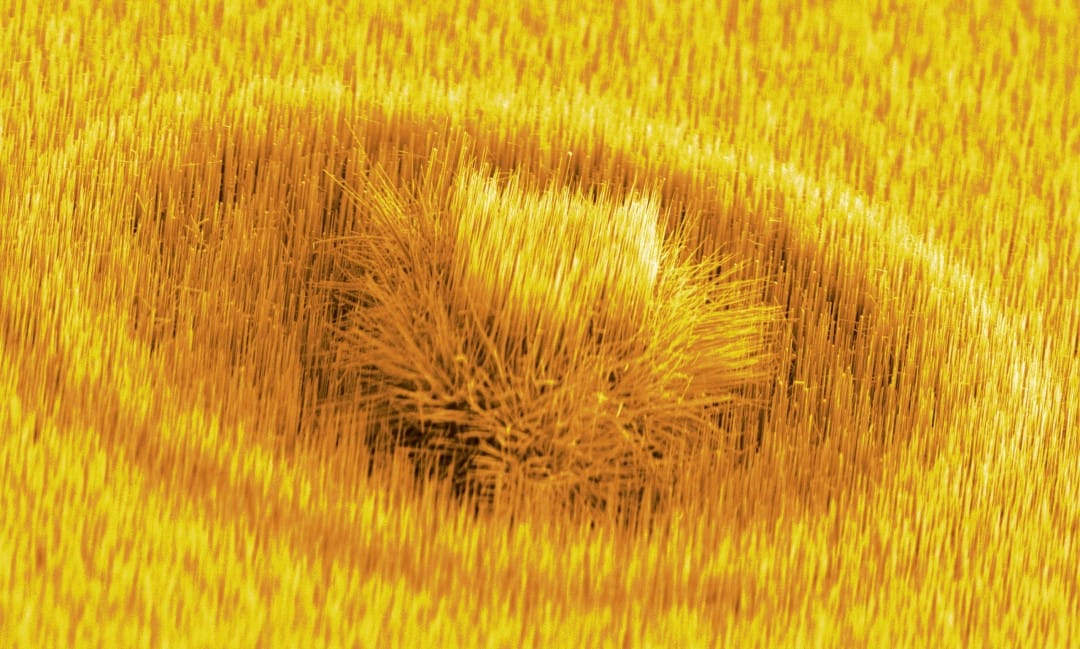 研究者が見ているナノ世界のアート「MA-NanoArt 展」開催─アートとサイエンスでつくばのまち創りへ