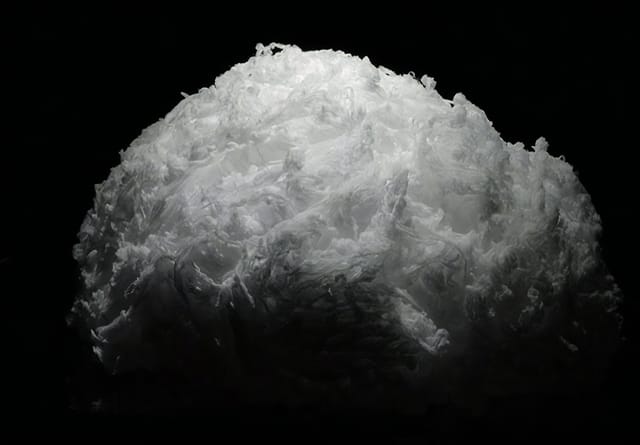 油の海洋流出事故で活躍する救世主