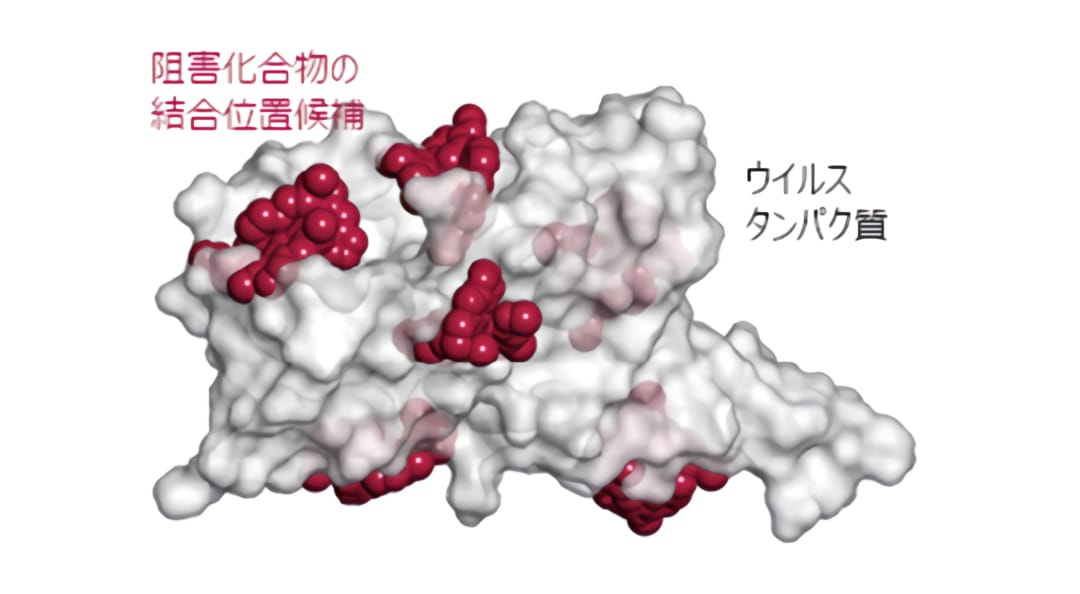 新型コロナウイルスの治療薬候補を探るIT創薬研究