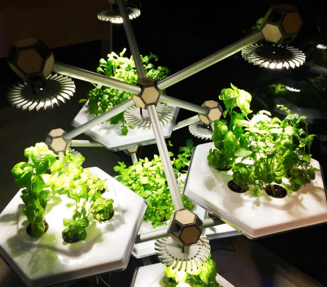 ハチの巣から着想を得たハイテク屋内型家庭菜園