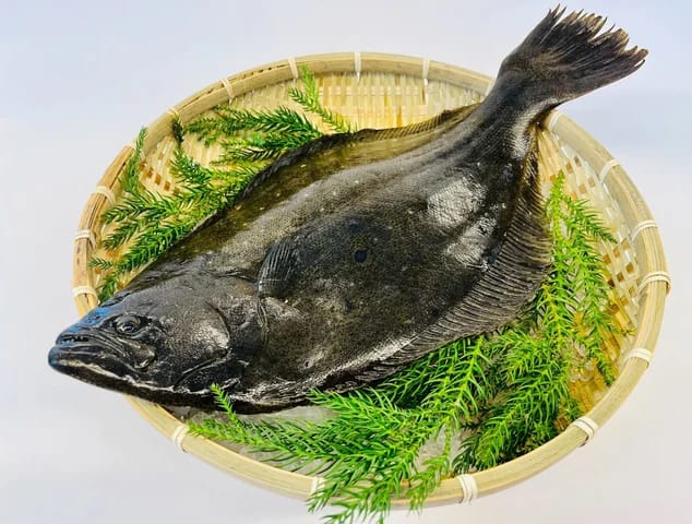 ゲノム編集魚「高成長ヒラメ」、厚生労働省及び農林水産省への届出完了─「22世紀ひらめ」として販売予定