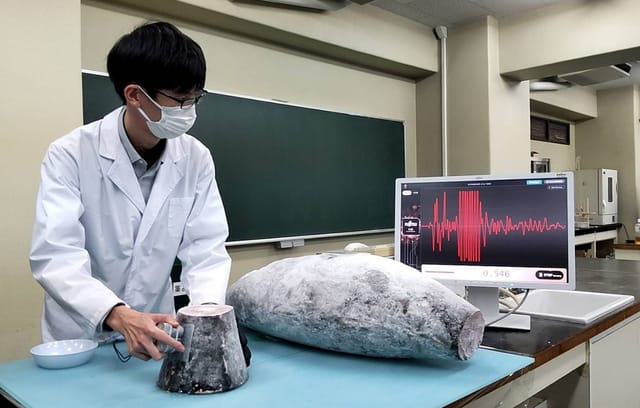世界初、冷凍マグロ切らずに鮮度判定可能に─富士通と東海大が超音波AI評価システム確立