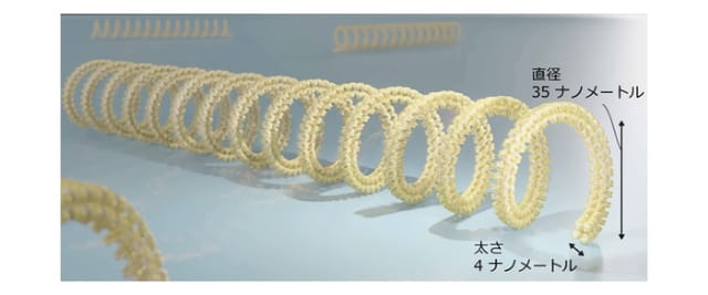 NICTと理研、世界最小のコイル状バネを設計し細胞への”微小な力”を計測─脳などの情報処理メカニズム解明へ前進