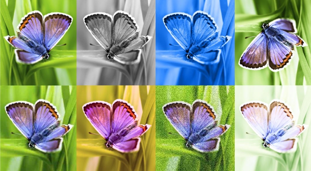 Google DeepMind、AI生成画像を識別できるツール「SynthID」発表―人間の眼では判別不能な透かしを埋め込み