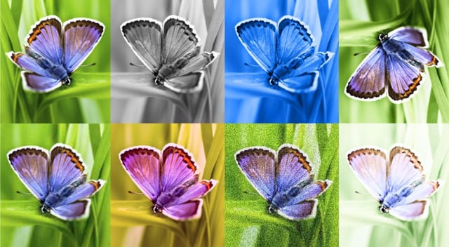 Google DeepMind、AI生成画像を識別できるツール「SynthID」発表―人間の眼では判別不能な透かしを埋め込み