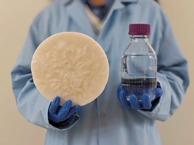 テキサス大学、破棄された自然素材から作られた素材で空気中から水を生成できる「分子機能化バイオマスハイドロゲル」を開発
