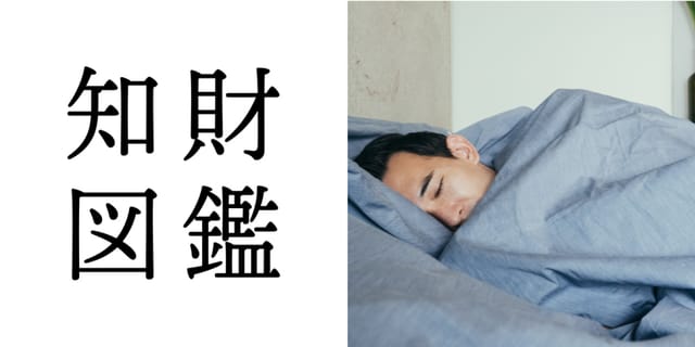 知財図鑑 generated by AI #023─ AIZOME ULTRA：超音波で繊維の隅々まで染料を定着させる藍染技術