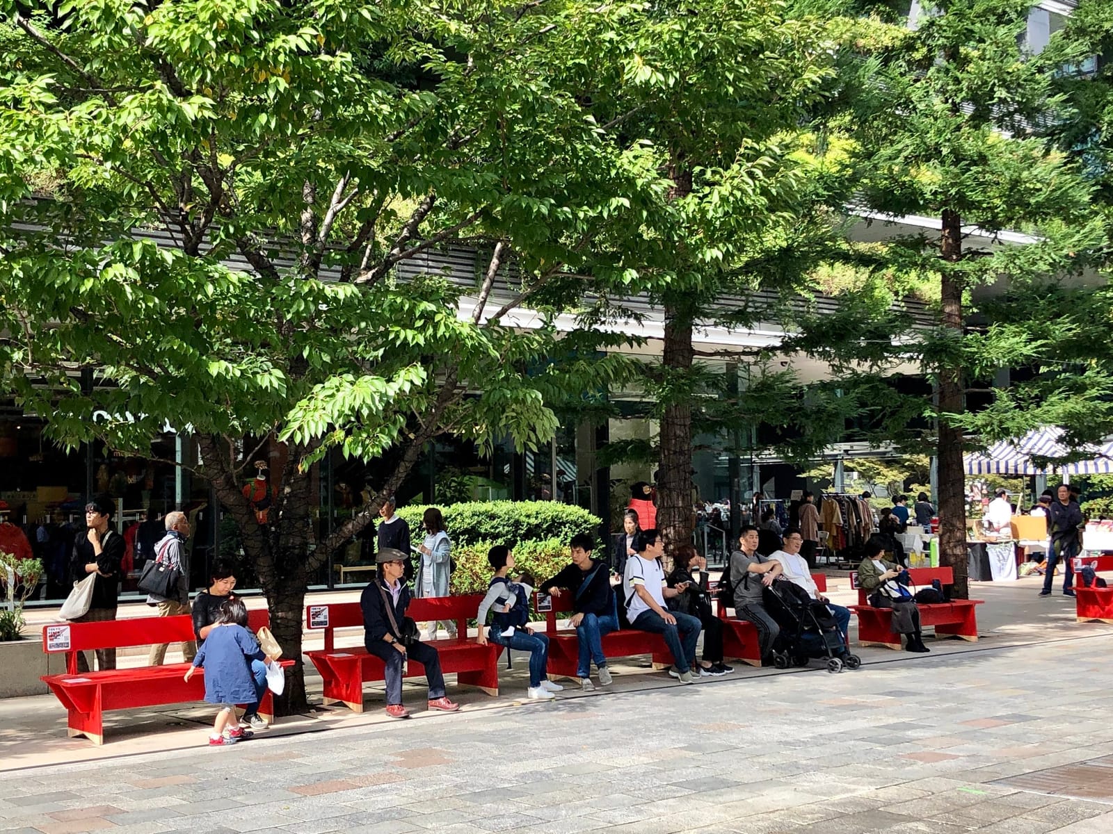 bench