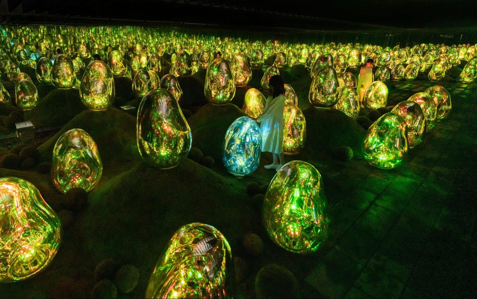 teamLab