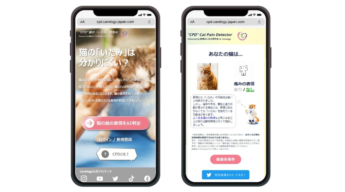猫の顔写真から痛みを検知するAI「CPD」のユーザー数が25,000人を突破―無料で利用可能