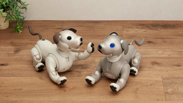 成長して個性を獲得する、自律型ペットロボット