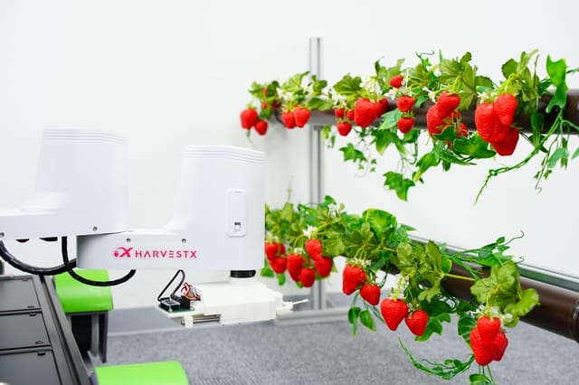 ミツバチに代わるロボットを活用した授粉・収穫技術