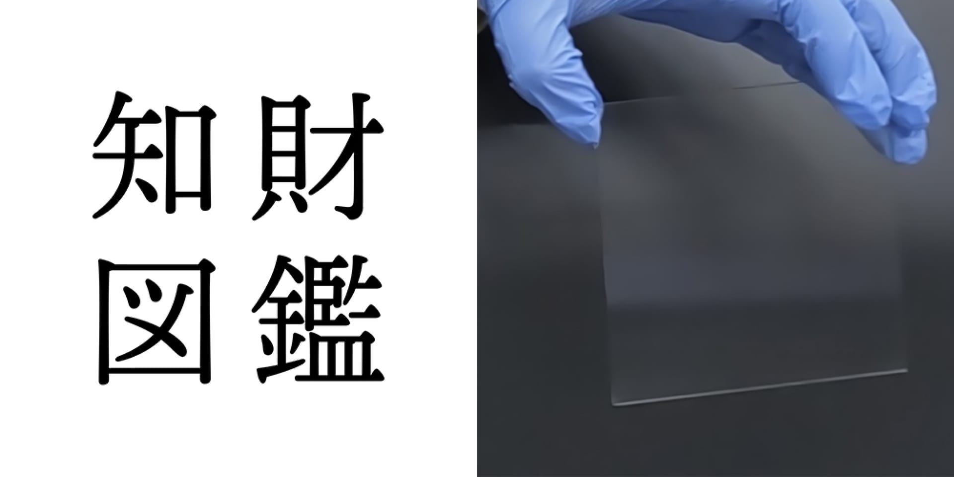 知財図鑑 generated by AI #025─ 透明太陽電池 by OPTMASS:赤外光で発電する無色透明な太陽電池