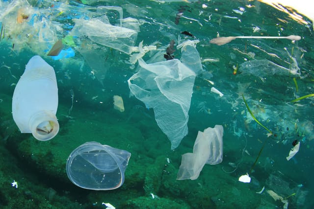 画像解析により深海のマイクロプラスチックを探索する技術
