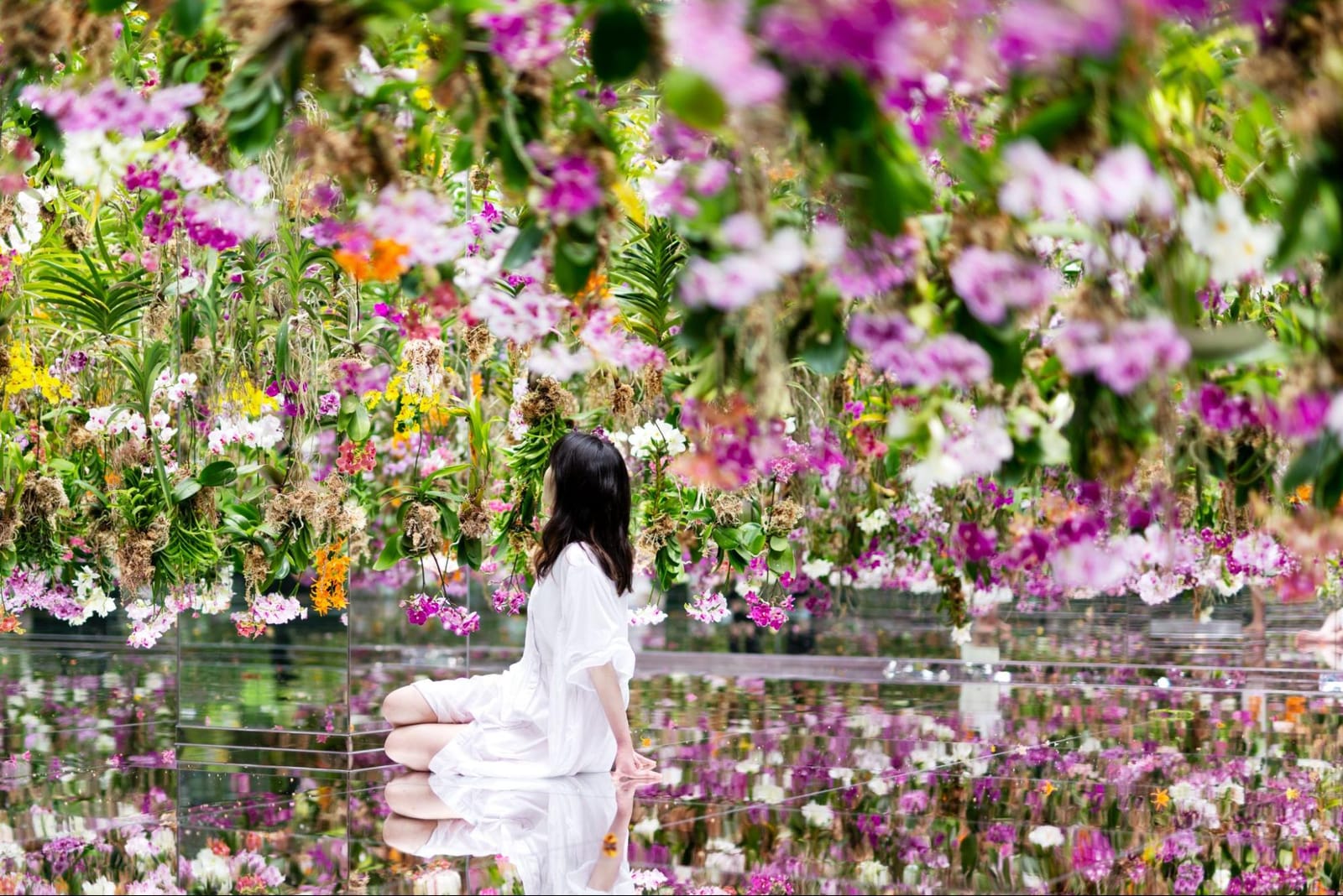 teamLab