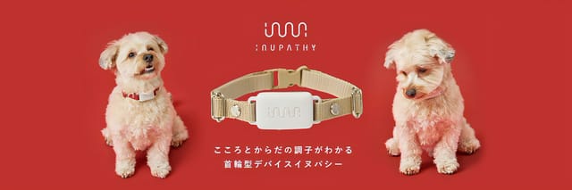 愛犬のこころとからだを見守るスマートデバイス「イヌパシー・カラー」、首輪型の新モデルが発売開始
