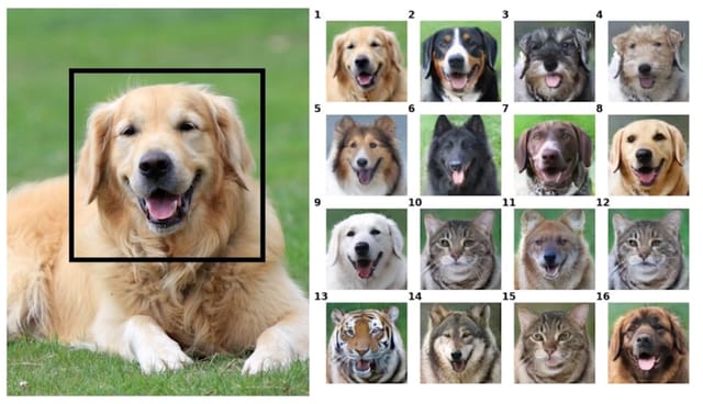 猫を虎に変換できる画像生成AI